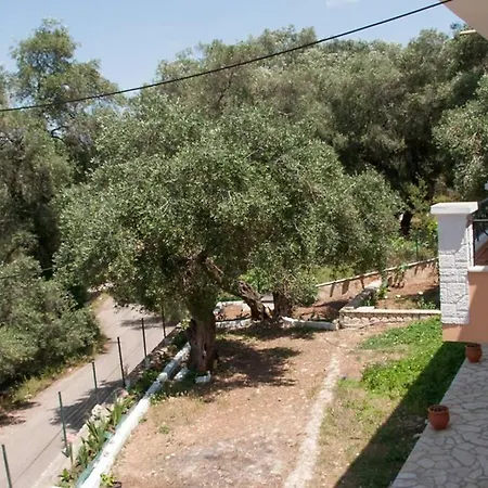 בית נופש Angelika